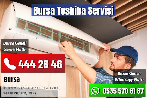 Bursa Toshiba Servisi
