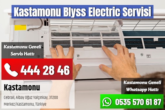 Kastamonu Blyss Electric Servisi