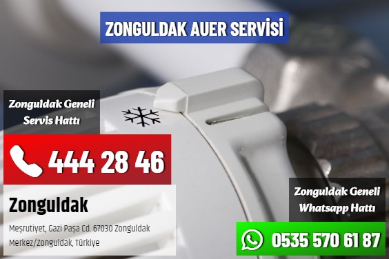 Zonguldak Auer Servisi
