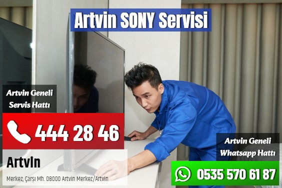 Artvin SONY Servisi