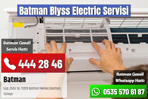 Batman Blyss Electric Servisi