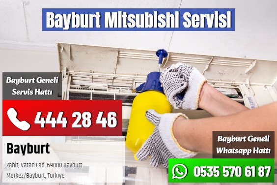 Bayburt Mitsubishi Servisi
