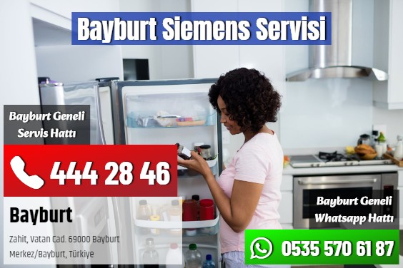 Bayburt Siemens Servisi