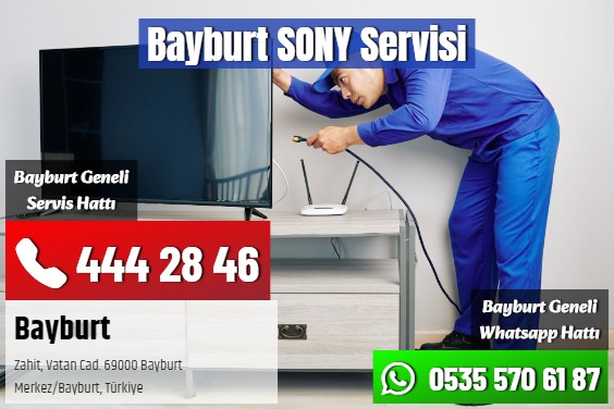 Bayburt SONY Servisi