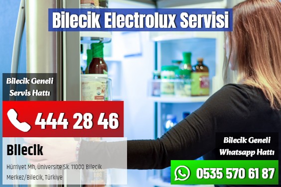 Bilecik Electrolux Servisi