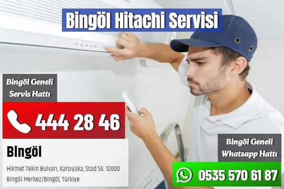 Bingöl Hitachi Servisi