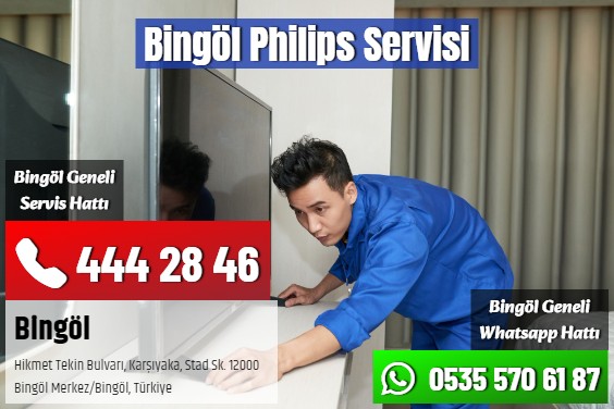 Bingöl Philips Servisi