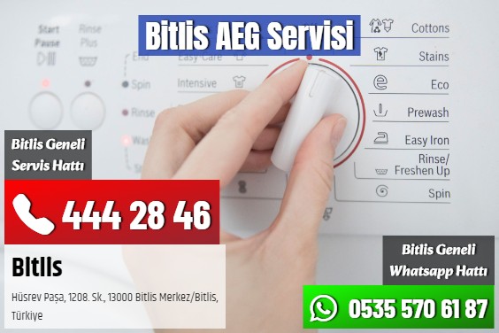 Bitlis AEG Servisi