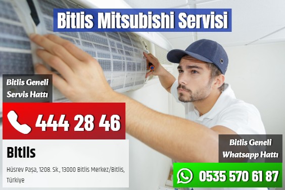 Bitlis Mitsubishi Servisi