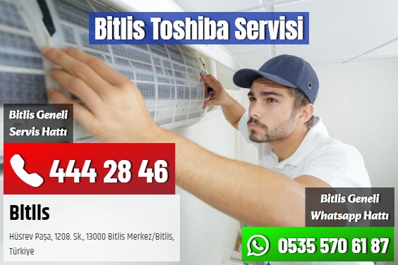 Bitlis Toshiba Servisi