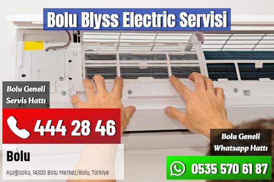 Bolu Blyss Electric Servisi