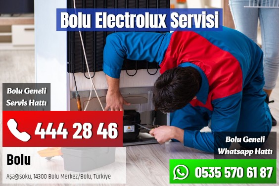 Bolu Electrolux Servisi
