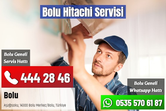 Bolu Hitachi Servisi
