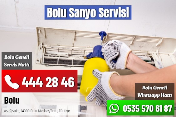 Bolu Sanyo Servisi
