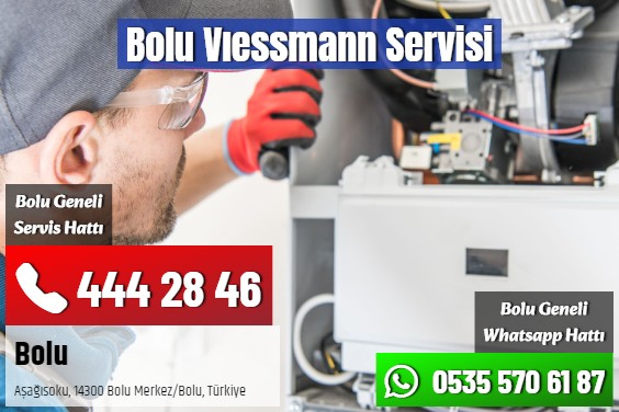 Bolu Vıessmann Servisi