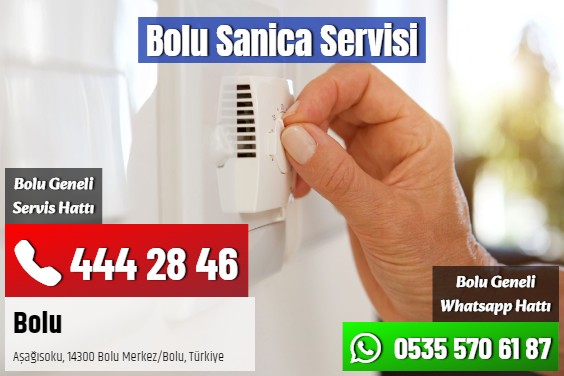Bolu Sanica Servisi