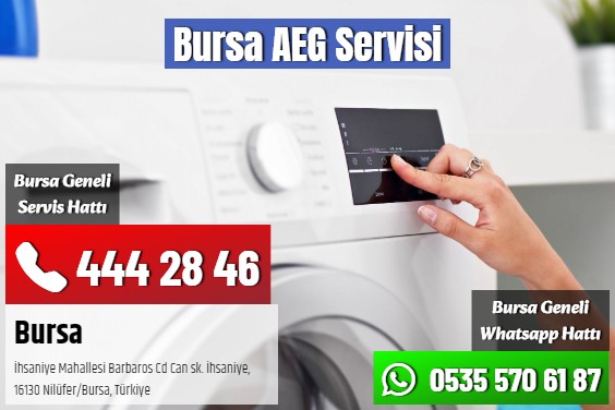 Bursa AEG Servisi
