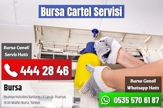 Bursa Cartel Servisi