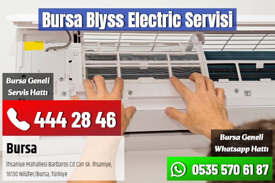 Bursa Blyss Electric Servisi