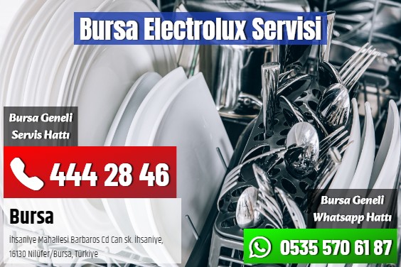 Bursa Electrolux Servisi