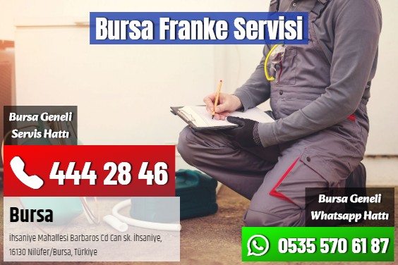 Bursa Franke Servisi