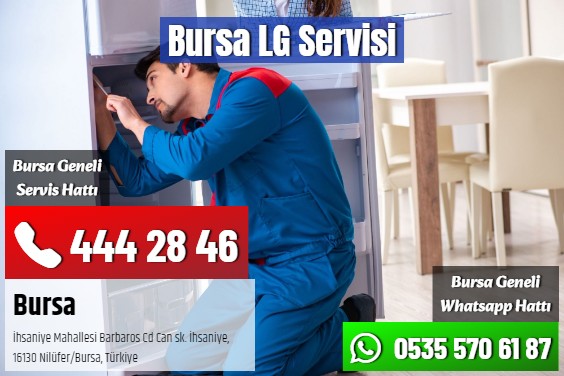 Bursa LG Servisi