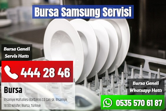 Bursa Samsung Servisi
