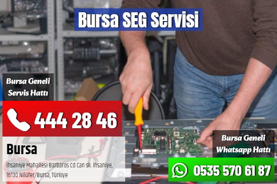 Bursa SEG Servisi