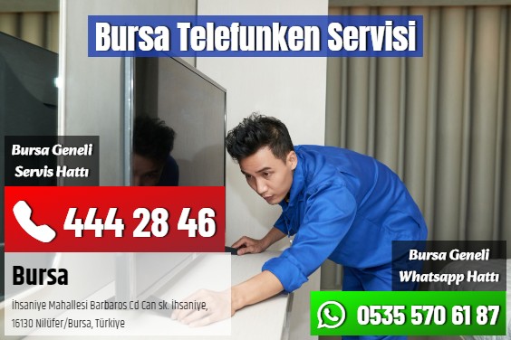 Bursa Telefunken Servisi
