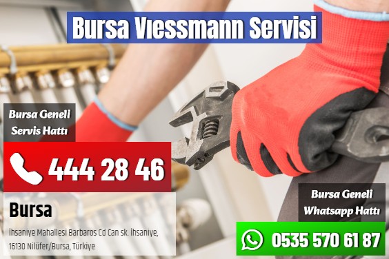 Bursa Vıessmann Servisi