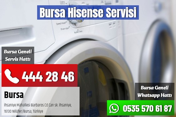 Bursa Hisense Servisi