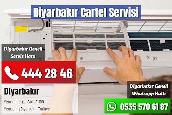 Diyarbakır Cartel Servisi