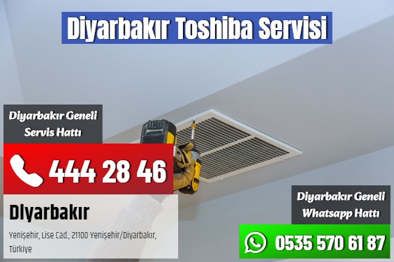 Diyarbakır Toshiba Servisi