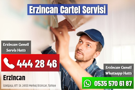 Erzincan Cartel Servisi