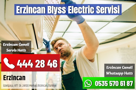 Erzincan Blyss Electric Servisi