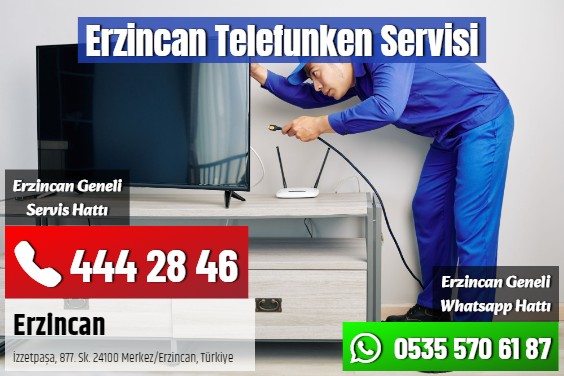 Erzincan Telefunken Servisi