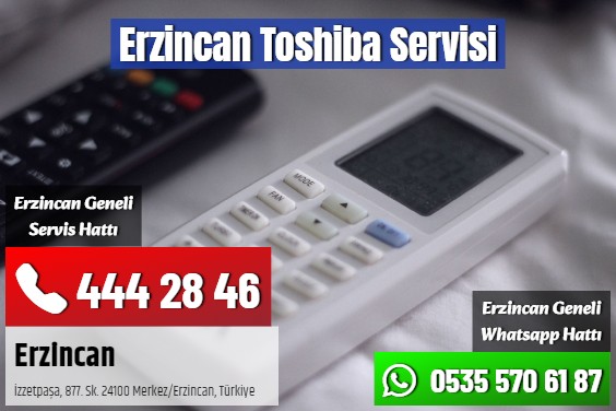 Erzincan Toshiba Servisi
