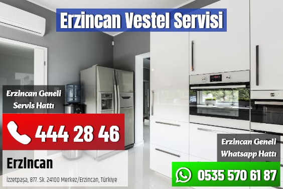 Erzincan Vestel Servisi