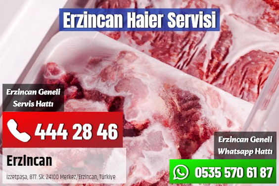 Erzincan Haier Servisi