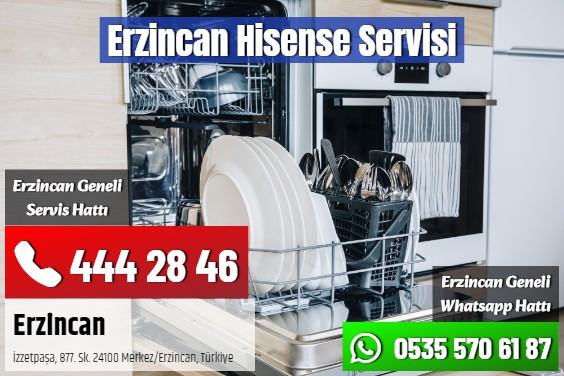 Erzincan Hisense Servisi