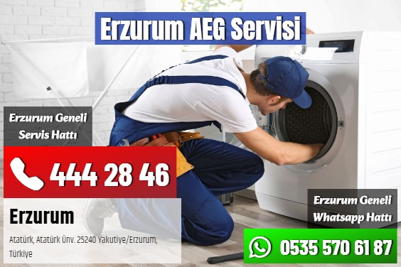 Erzurum AEG Servisi
