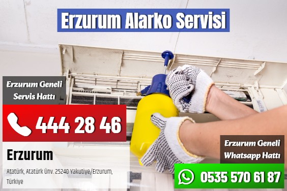 Erzurum Alarko Servisi