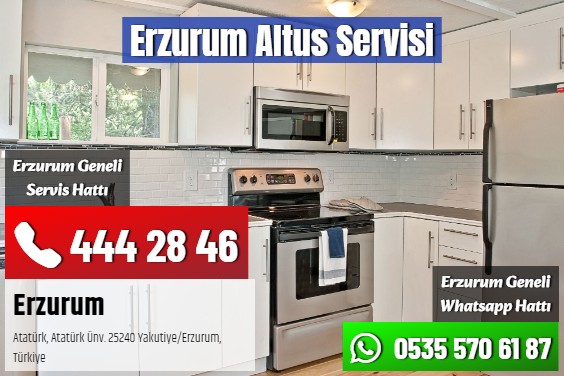 Erzurum Altus Servisi