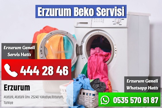 Erzurum Beko Servisi