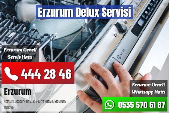 Erzurum Delux Servisi