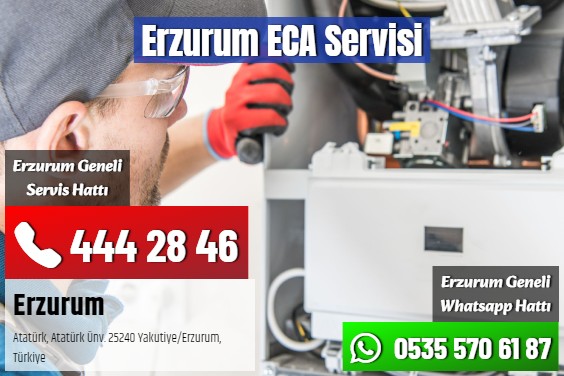 Erzurum ECA Servisi