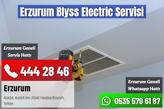 Erzurum Blyss Electric Servisi
