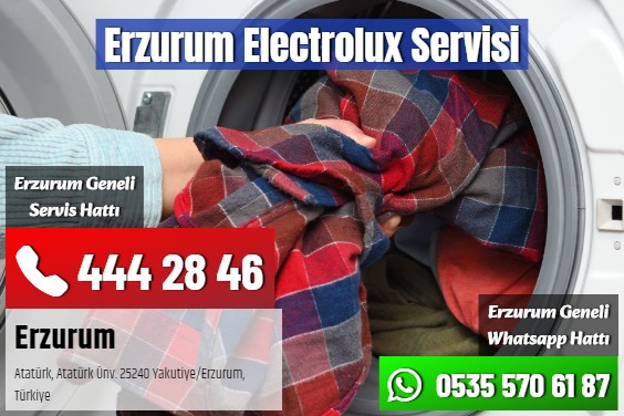 Erzurum Electrolux Servisi