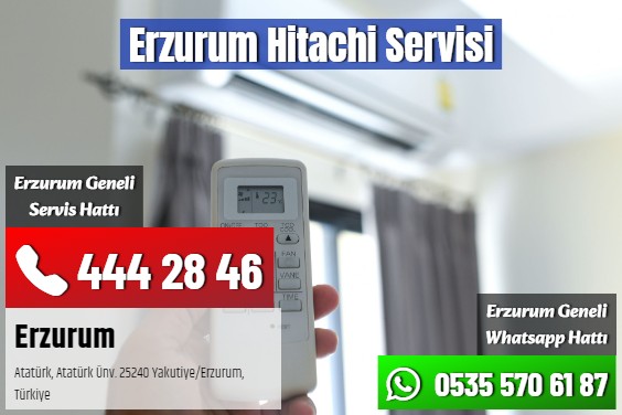 Erzurum Hitachi Servisi