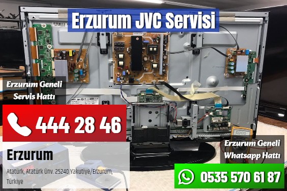 Erzurum JVC Servisi